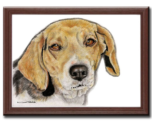 くるみるかペット肖像画ビーグル犬