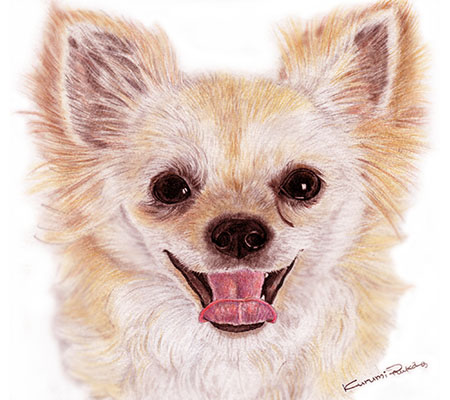 動物イラスト、鉛筆画、似顔絵イラスト、犬イラストのことなら｜手描き動物イラスト